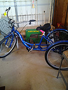 Schwinn Three Wheeled Bike